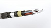 Кабель АКПВБ 10х6